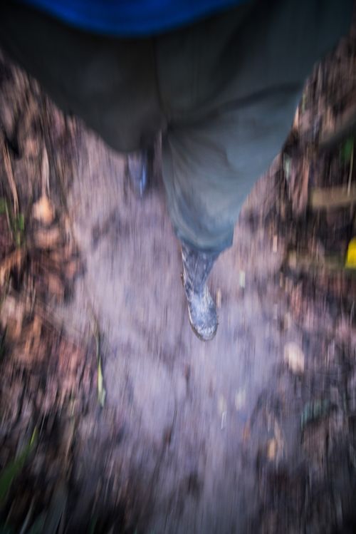 Peru Travel Photography Amazon Jungle trek on Monkey Island Isla de los Monos Tambopata National Reserve Peru South America