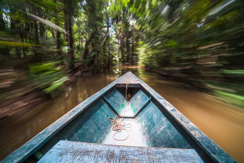 Peru Travel Photography Canoe boat trip in Amazon Jungle of Peru by Sandoval Lake in Tambopata National Reserve South America