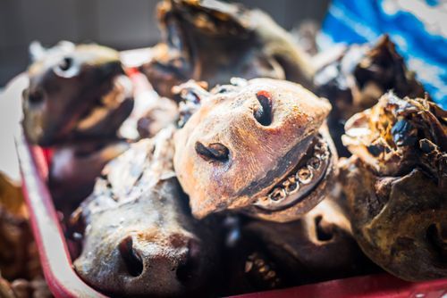 Peru Travel Photography Cattle nose for sale Saturday Market Cusco Cusco Region Peru South America