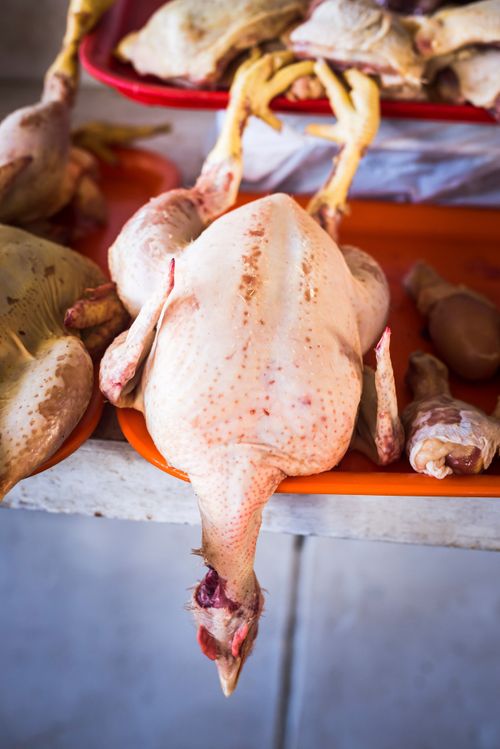 Peru Travel Photography Chicken for sale in San Pedro Central Market Mercado Central de San Pedro Cusco Peru South America