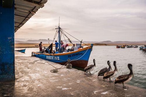 Peru Travel Photography Fishing boat at fishing harbour in Paracas National Reserve Reserva Nacional de Paracas Ica Peru South America