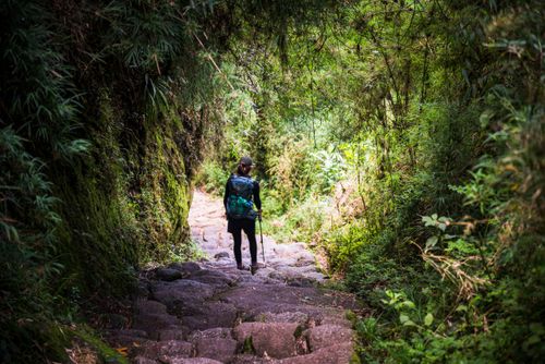 Peru Travel Photography Inca Trail through cloud forest on day 3 of the trek Cusco Region Peru South America