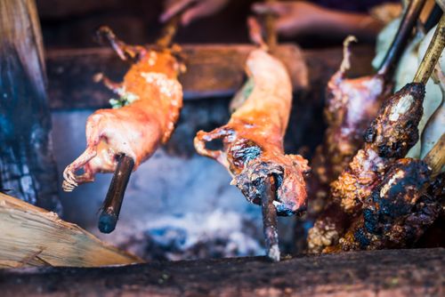 Peru Travel Photography Peruvian Guinea Pig Cuy on bbq a traditional Peruvian food delicacy Sacred Valley of the Incas near Cusco Peru South America