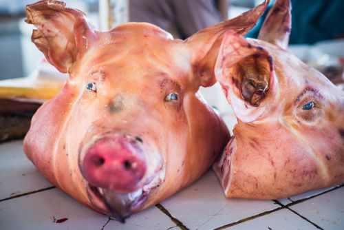 Peru Travel Photography Pig face for sale in San Pedro Central Market Mercado Central de San Pedro Cusco Peru South America