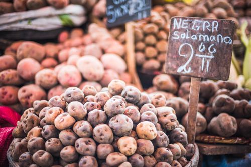 Peru Travel Photography Potato market stall at San Camilo Market Mercado San Camilo Arequipa Peru South America