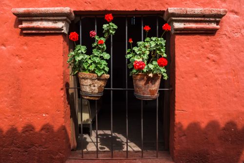 Peru Travel Photography Santa Catalina Monastery Convento de Santa Catalina aka Saint Catherine a convent in Arequipa Peru South America