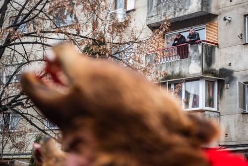 Romania Documentary Travel Photography New Year Bear Dancing Festival Comanesti Moldova Romania 12