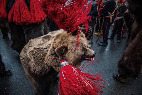 Romania Documentary Travel Photography New Year Bear Dancing Festival Comanesti Moldova Romania 7