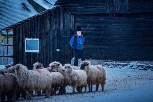 Romania Documentary Travel Photography Shepherd in the Carpathian Mountains in winter near Bran Transylvania Romania