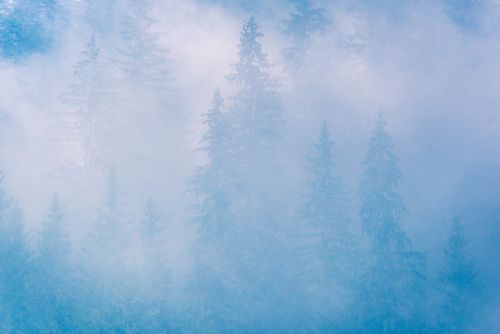 Romania Landscape Photography Misty Romanian forest landscape around Sucevita Monastery Bukovina Region Romania