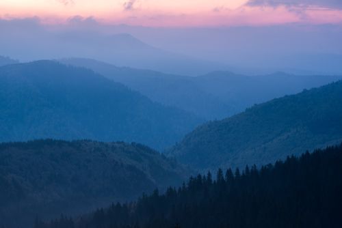 Romania Landscape Photography Misty forest and Carpathian Mountains landscape at sunrise Ranca Parang Mountains Oltenia Region Romania