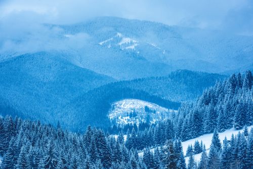 Romania Landscape Photography Winter landscape near Bran in the Carpathian Mountains Transylvania Romania 2