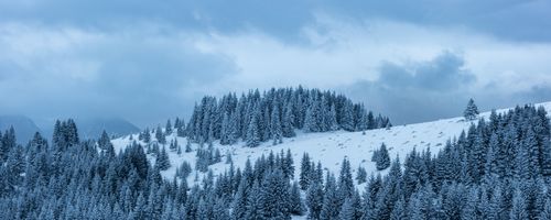 Romania Landscape Photography Winter landscape near Bran in the Carpathian Mountains Transylvania Romania
