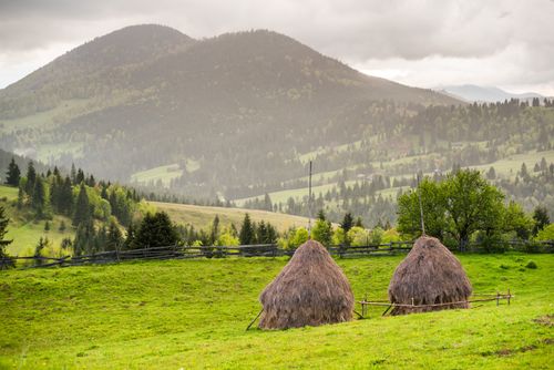 Romania Landscape Travel Photography Romanian haystacks at sunset in rural Transylvania Piatra Fantanele Romania background with copy space