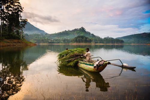 Sri Lanka Documentary Travel Photography Farmers at the Maussakele Reservoir between Dalhousie and Hatton in the Nuwara Eliya District of the Sri Lanka Central Highlands Sri Lanka Asia
