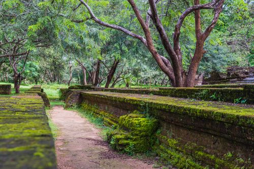 Sri Lanka Travel Photography Ancient City of Polonnaruwa ruins of the Royal Palace Parakramabahus Royal Palace Cultural Triangle Sri Lanka Asia