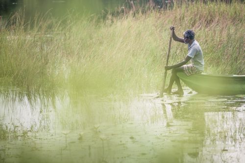 Sri Lanka Travel Photography Minneriya National Park a fisherman fishing on Minneriya Lake Central Provice Sri Lanka Asia