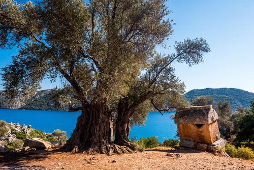 Turkey Travel Photography Lycian Sarcophagus Sunken City of Kekova Antalya Province Lycia Anatolia Mediterranean Sea Turkey Eastern Europe