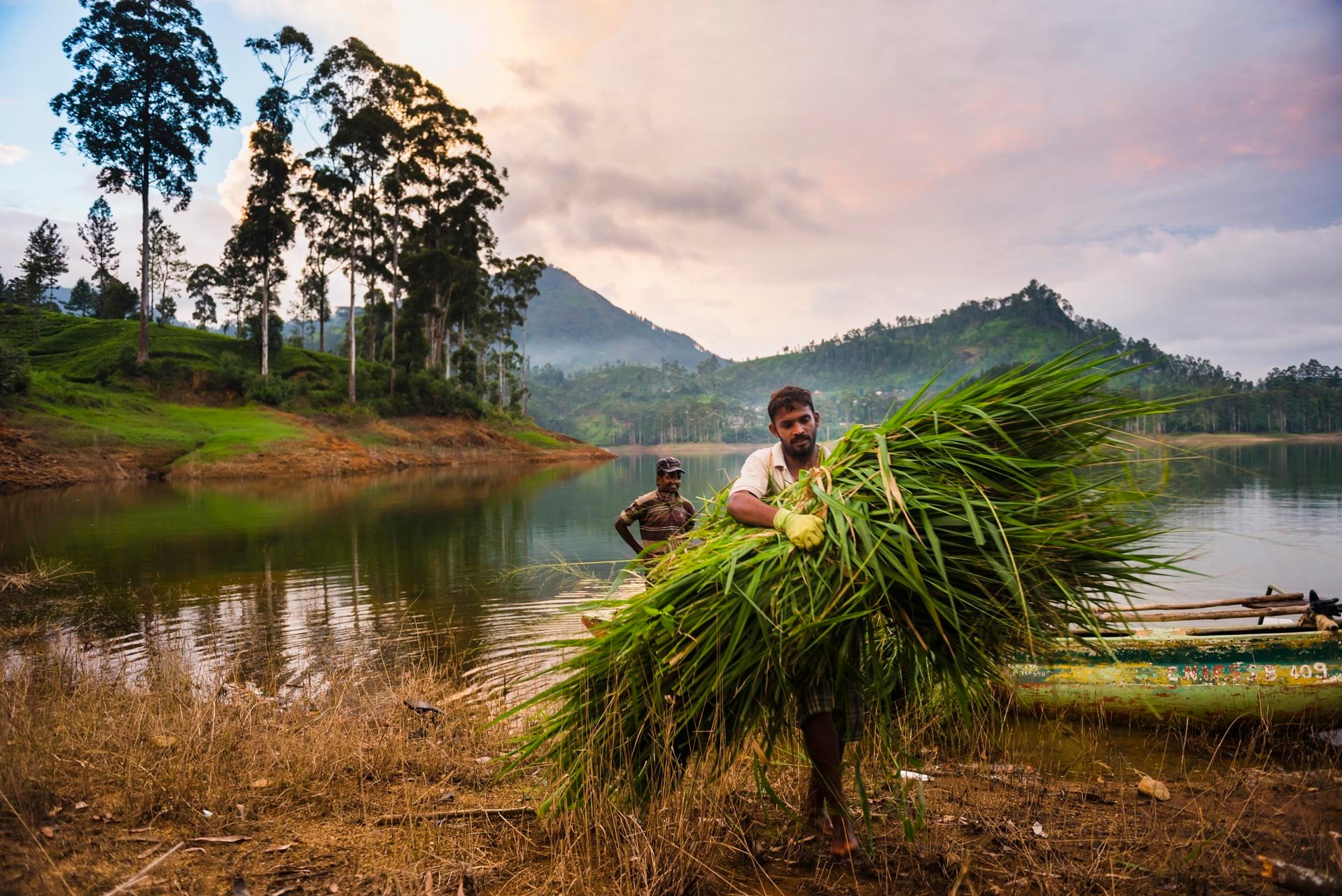 National Geographic Traveller Magazine Sri Lanka Article Farmer working in the Nuwara Eliya District Sri Lanka Highlands Sri Lanka Asia