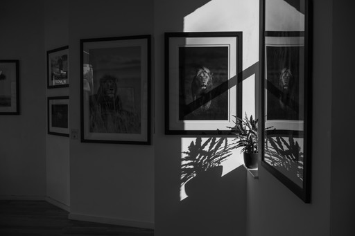 2023 07 02 Individuals Exhibition Photos 123