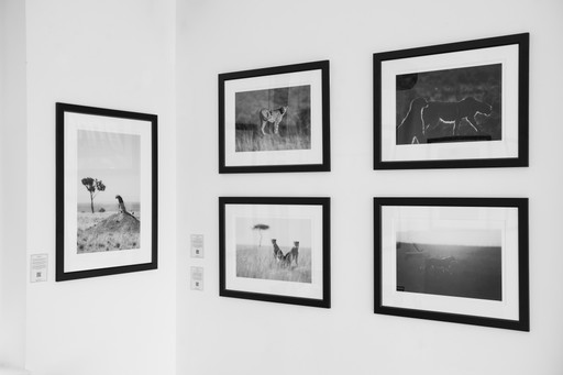 2023 07 02 Individuals Exhibition Photos 185