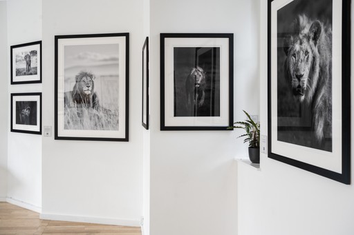 2023 07 02 Individuals Exhibition Photos 214