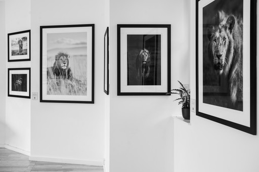 2023 07 02 Individuals Exhibition Photos 215