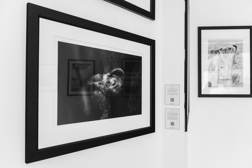 2023 07 02 Individuals Exhibition Photos 221