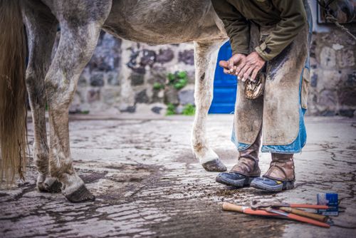 Travel Photographer Ecuador Travel Photography 016