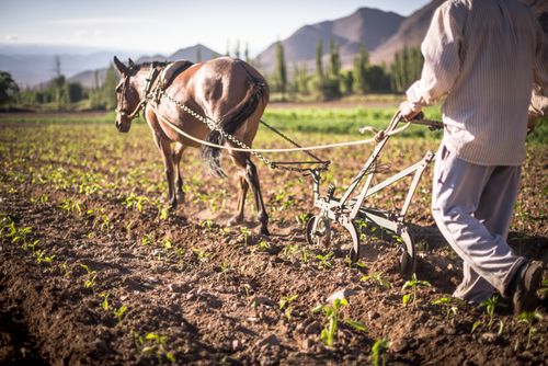 Documentary Travel Photography by UK London Documentary Travel Photographer Argentina Cachi Valley