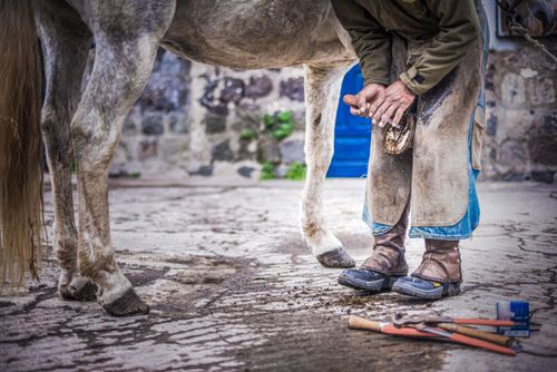 Documentary Travel Photography by UK London Documentary Travel Photographer Ecuador Zuleta 2