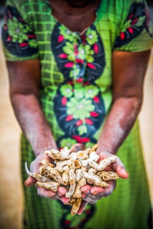 Documentary Travel Photography by UK London Documentary Travel Photographer India Kochi 3