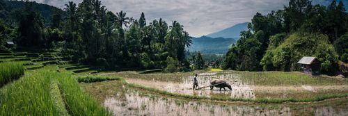 Documentary Travel Photography by UK London Documentary Travel Photographer Indonesia Bukittinggi
