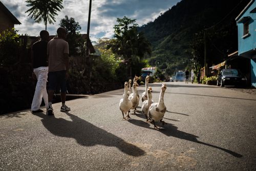 Documentary Travel Photography by UK London Documentary Travel Photographer Madagascar Ranomafana