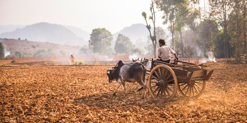 Documentary Travel Photography by UK London Documentary Travel Photographer Myanmar Burma Kalaw