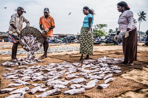 Documentary Travel Photography by UK London Documentary Travel Photographer Sri Lanka Negombo