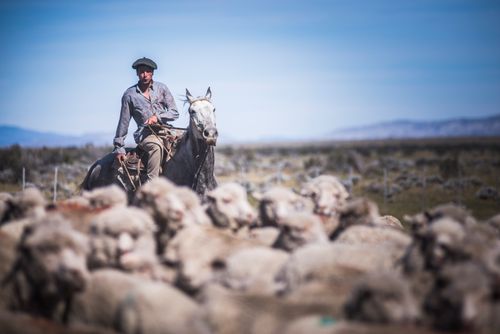 Documentary Travel Portrait Photography by UK London Documentary Portrait Photographer Argentina El Chalten