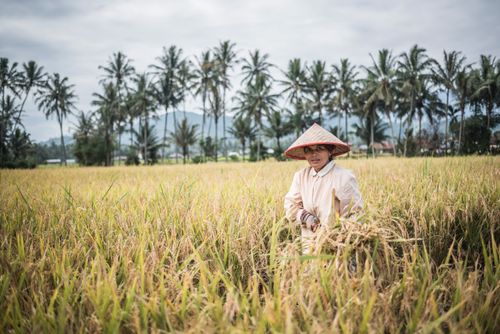 Documentary Travel Portrait Photography by UK London Documentary Portrait Photographer Indonesia Bukittinggi