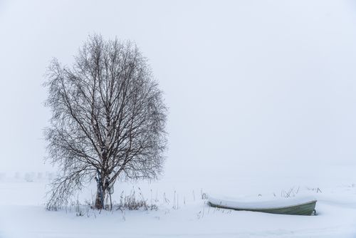 Landscape Photography by Professional Freelance UK Landscape Photographer Bleak misty minimalist white winter landscape covered in snow near Akaslompolo Finnish Lapland Finland