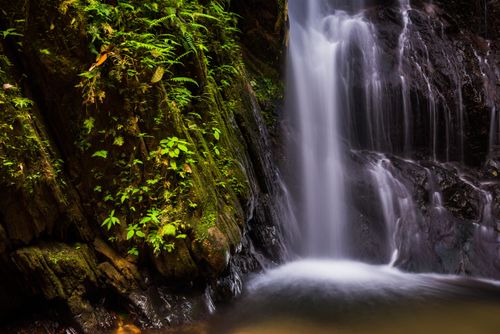 Landscape Photography by Professional Freelance UK Landscape Photographer Cucharillos Waterfall in the Choco Rainforest Ecuador This area of jungle is the Mashpi Cloud Forest in the Pichincha Province of Ecuador South America