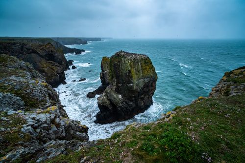 Landscape Photography by Professional Freelance UK Landscape Photographer Elegug Stacks occupied by a colony of Guillemots Pembrokeshire Coast National Park Wales United Kingdom
