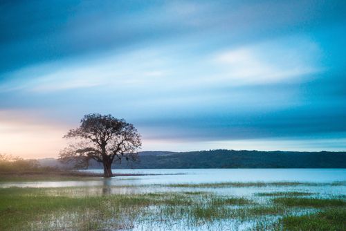 Landscape Photography by Professional Freelance UK Landscape Photographer Laguna de Arenal Arenal Lake landscape at sunset Alajuela Province Costa Rica Central America
