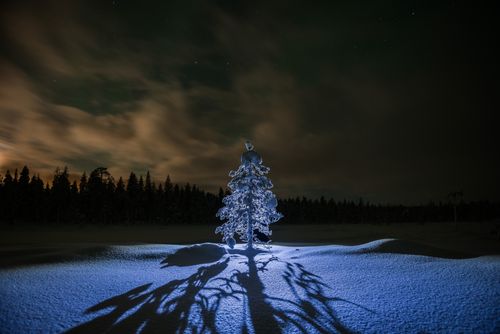 Landscape Photography by Professional Freelance UK Landscape Photographer Lapland scenery at night under the stars in the frozen winter landscape Finland 2
