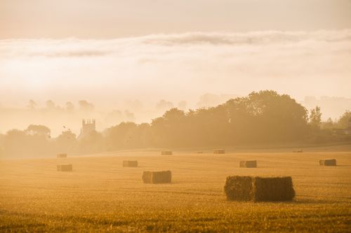 Landscape Photography by Professional Freelance UK Landscape Photographer Misty sunrise at St James Church at Longborough a village in The Cotswolds Gloucestershire England United Kingdom Europe