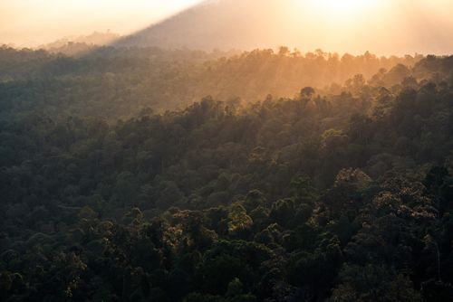 Landscape Photography by Professional Freelance UK Landscape Photographer Rainforest at sunrise seen from Bukit Tabur Mountain Kuala Lumpur Malaysia Southeast Asia