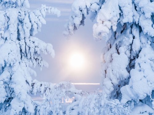 Landscape Photography by Professional Freelance UK Landscape Photographer Super moon full moon landscape of snow covered trees forest and remote winter wilderness in Lapland Finland Arctic Circle Europe