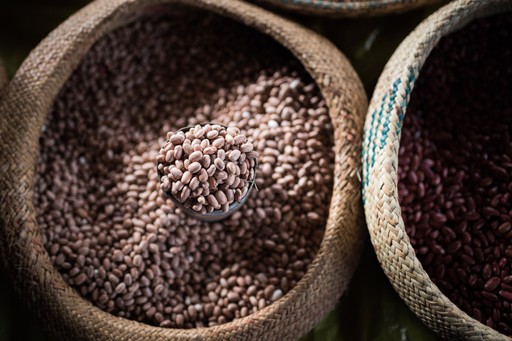 Madagascar Wildlife Photography Holiday Beans for sale in Ranomafana Madagascar Central Highlands