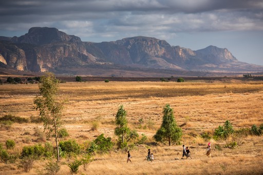 Madagascar Wildlife Photography Holiday Isalo National Park Ihorombe Region Southwest Madagascar