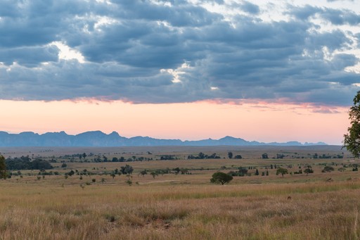 Madagascar Wildlife Photography Holiday Isalo National Park at sunset Ihorombe Region Southwestern Madagascar
