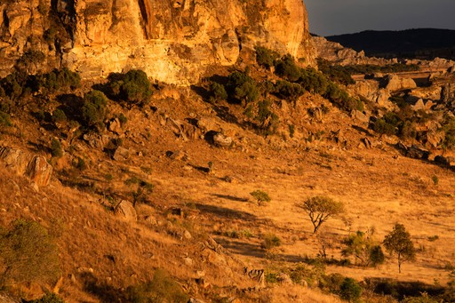 Madagascar Wildlife Photography Holiday Isalo National Park landscape at sunrise Ihorombe Region Madagascar